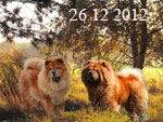 26.12.2012