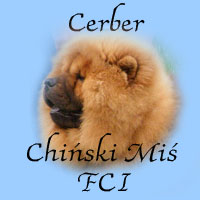 cerber