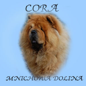 Cora